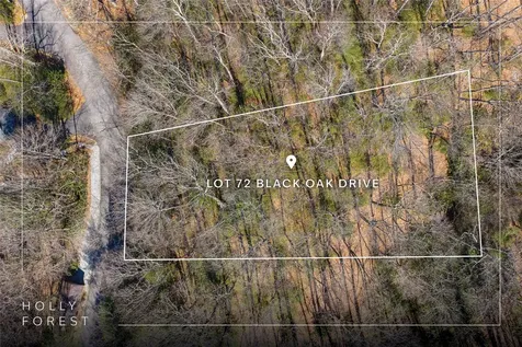 Lot 72 Black Oak Drive Sapphire NC 28774