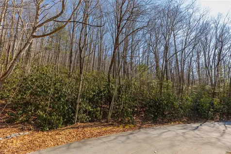 Lot 72 Black Oak Drive Sapphire NC 28774