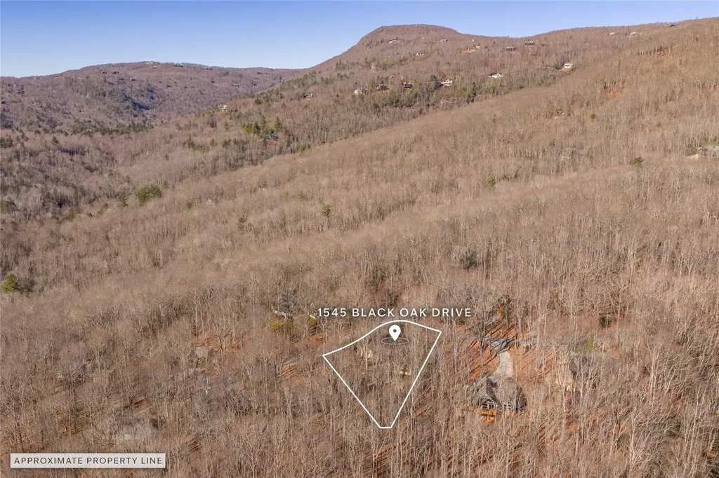 1545 Black Oak Drive Sapphire NC 28774