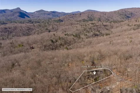 1545 Black Oak Drive Sapphire NC 28774