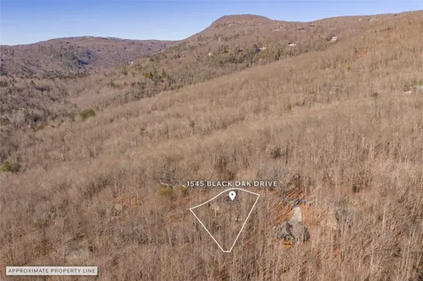 1545 Black Oak Drive Sapphire NC 28774