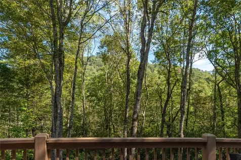 5 Springs Way Sapphire NC 28774