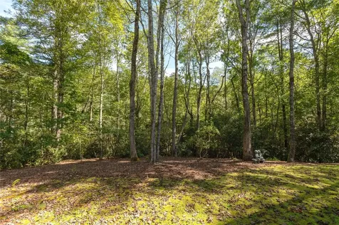 5 Springs Way Sapphire NC 28774