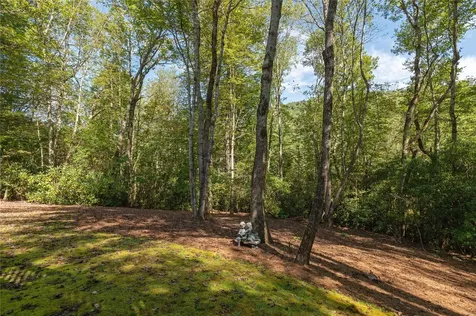 5 Springs Way Sapphire NC 28774