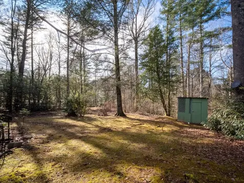 48 Squirrel Lane Sapphire NC 28774