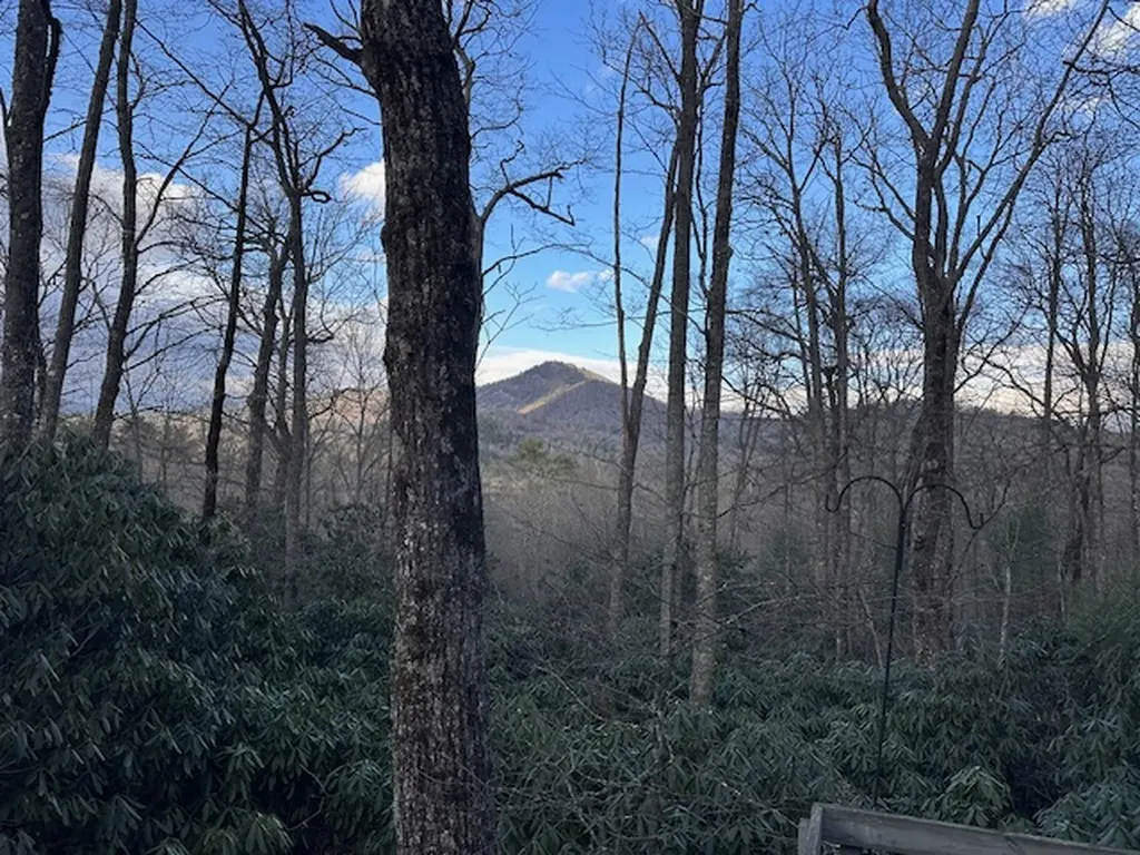 Tbd Bryson Branch Road Cashiers NC 28717