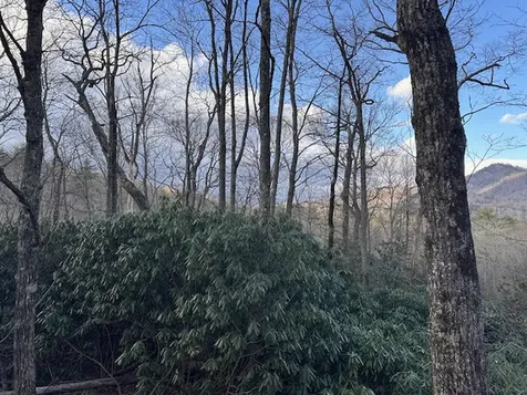 Tbd Bryson Branch Road Cashiers NC 28717