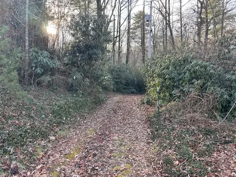 Tbd Bryson Branch Road Cashiers NC 28717