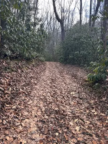 Tbd Bryson Branch Road Cashiers NC 28717