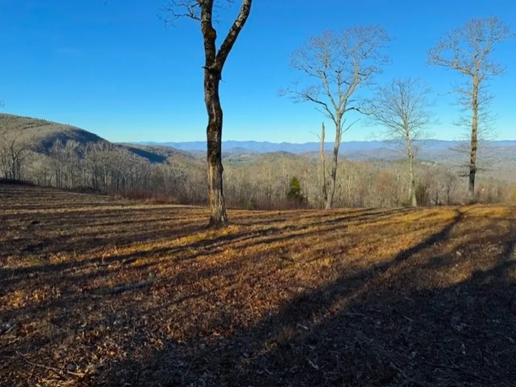 Tbd Jodytown Road Cashiers NC 28717