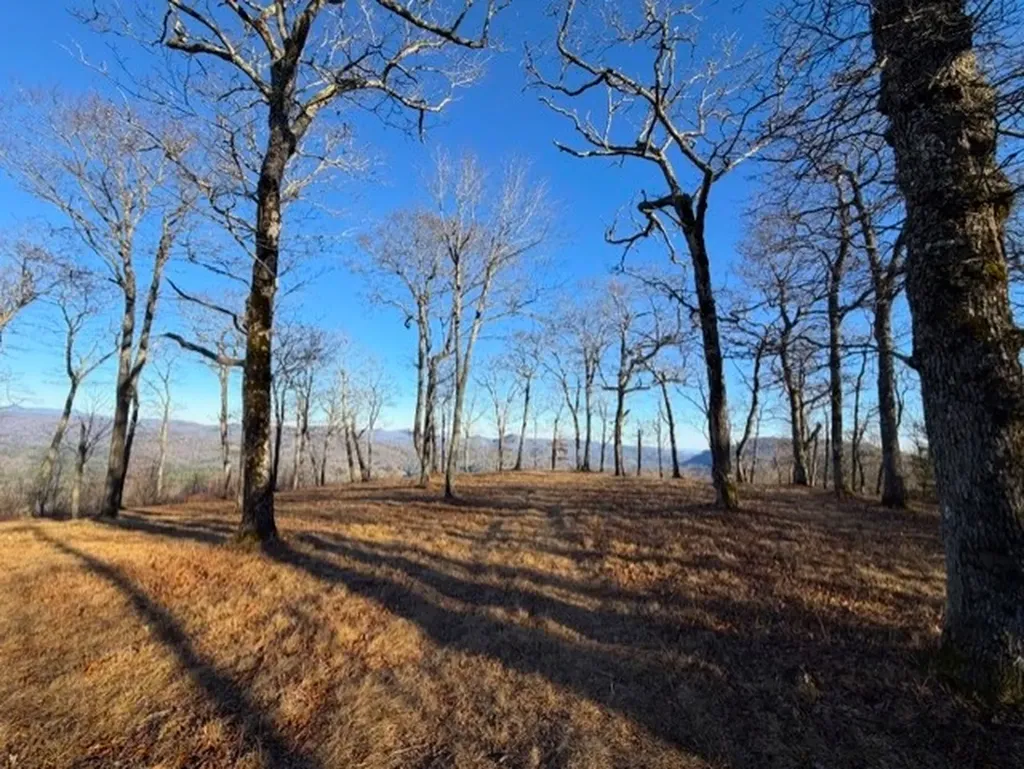 Tbd Jodytown Road Cashiers NC 28717