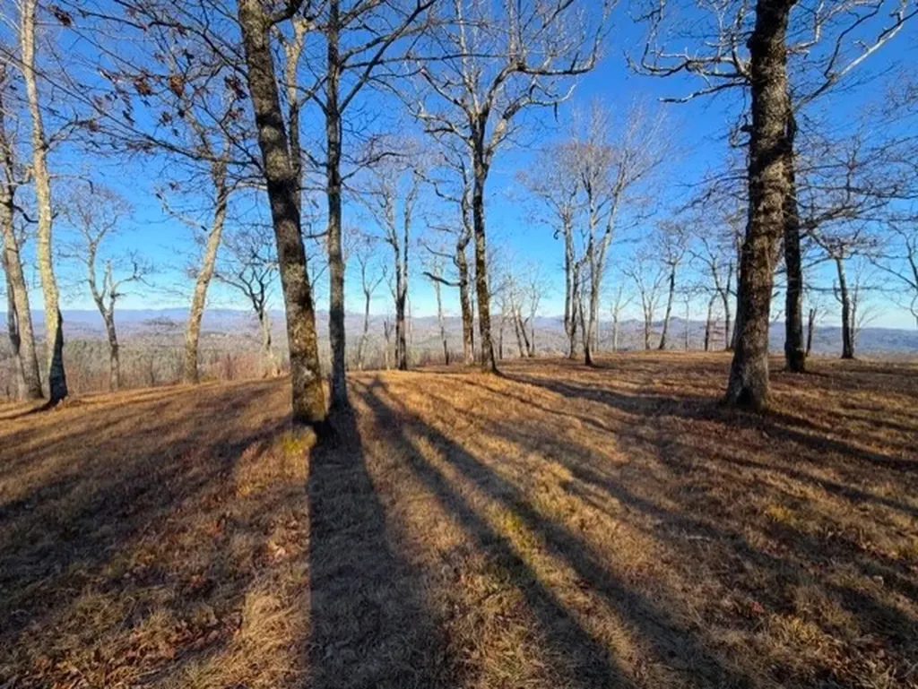 Tbd Jodytown Road Cashiers NC 28717