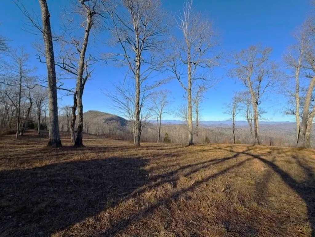 Tbd Jodytown Road Cashiers NC 28717