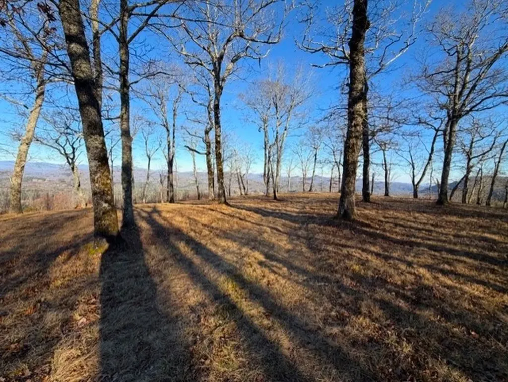 Tbd Jodytown Road Cashiers NC 28717