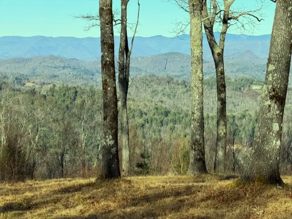 Tbd Jodytown Road Cashiers NC 28717