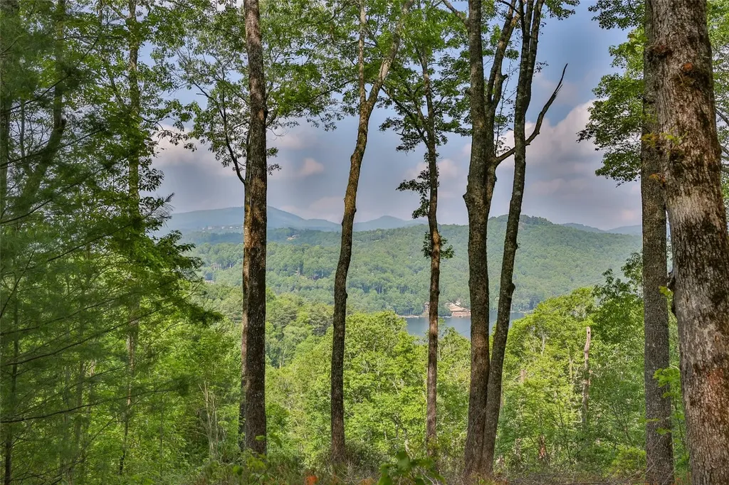 Lot 1 Receptive Drive Glenville NC 28736