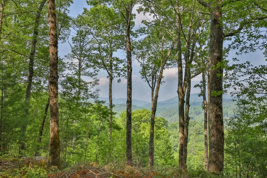 Lot 1 Receptive Drive Glenville NC 28736