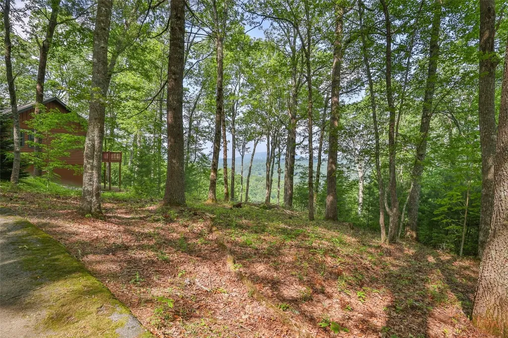 Lot 1 Receptive Drive Glenville NC 28736