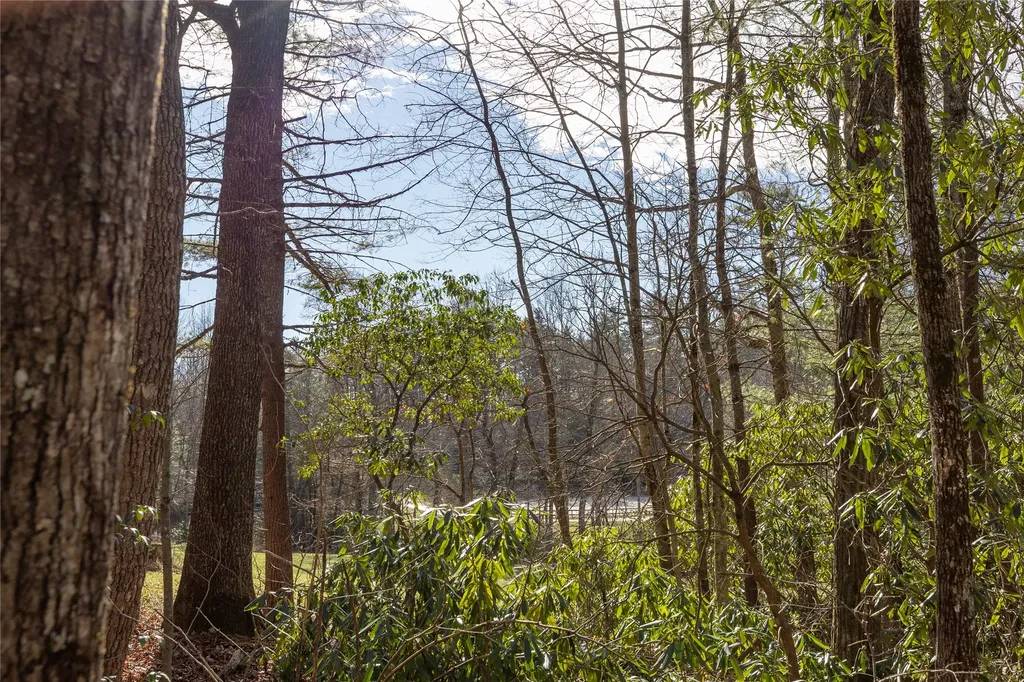 Lot 24 Ivy Gate Lane Cashiers NC 28717