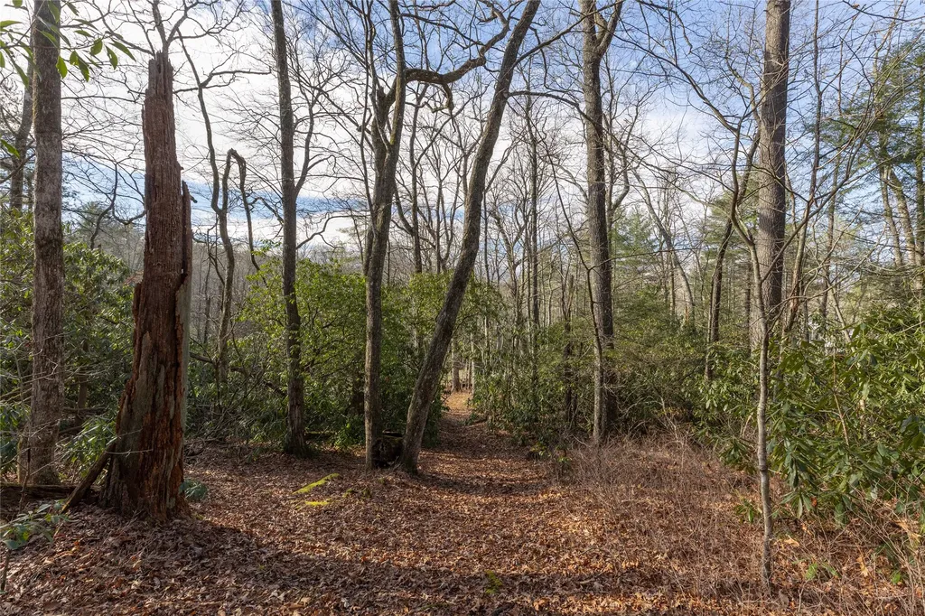 Lot 24 Ivy Gate Lane Cashiers NC 28717