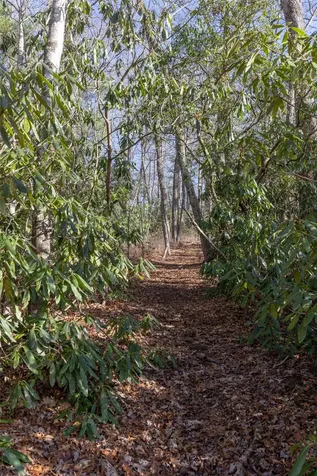 Lot 24 Ivy Gate Lane Cashiers NC 28717