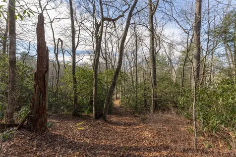 Lot 24 Ivy Gate Lane Cashiers NC 28717