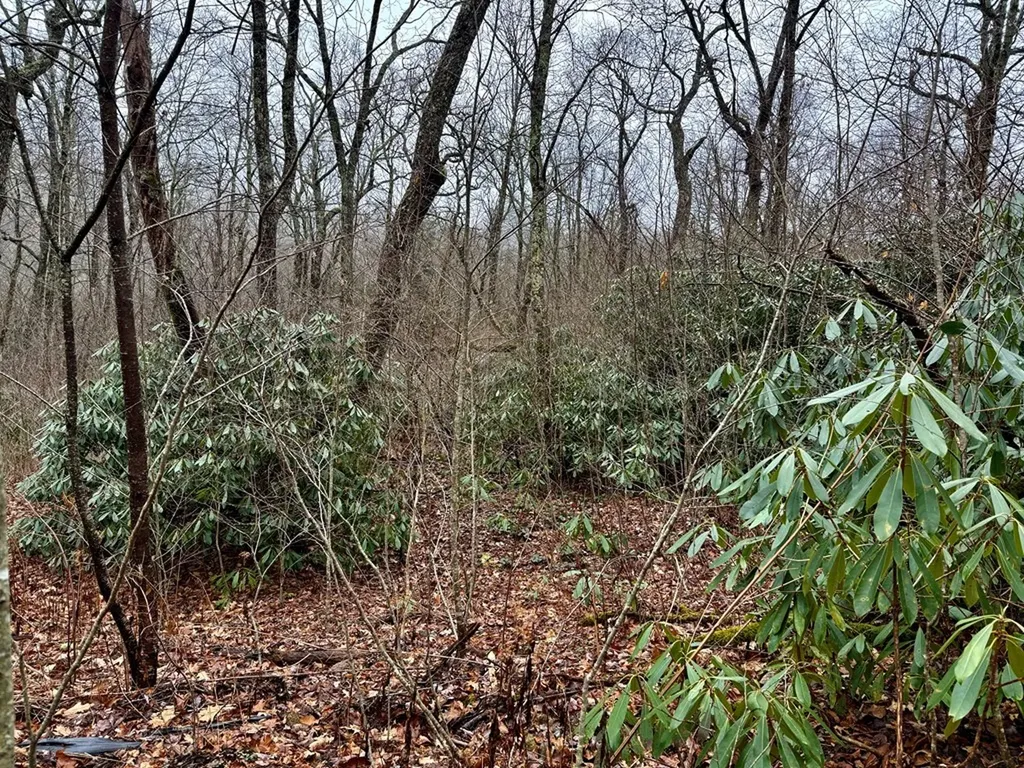 0 Satulah Ridge Road Highlands NC 28741