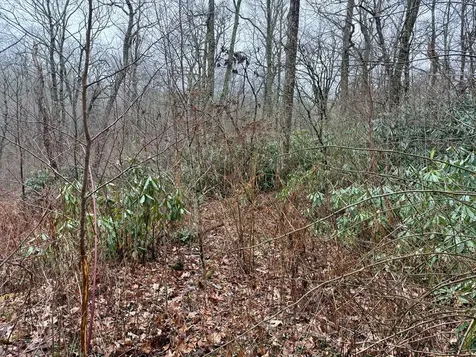 0 Satulah Ridge Road Highlands NC 28741