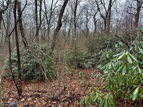 0 Satulah Ridge Road Highlands NC 28741