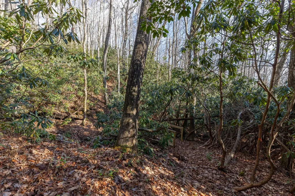 Lot 30 Rock Creek Court Sapphire NC 28774