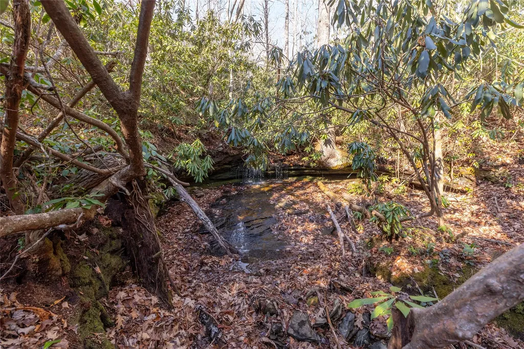 Lot 30 Rock Creek Court Sapphire NC 28774