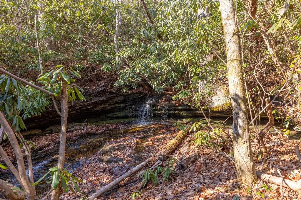 Lot 30 Rock Creek Court Sapphire NC 28774