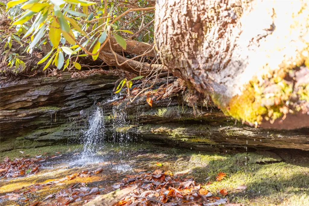 Lot 30 Rock Creek Court Sapphire NC 28774