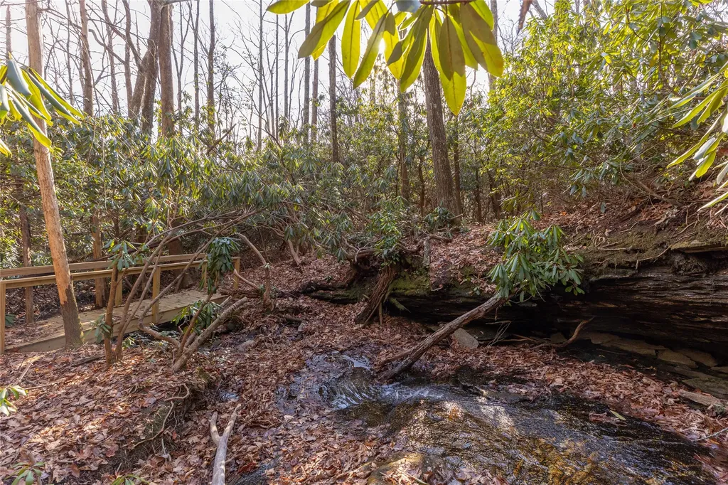 Lot 30 Rock Creek Court Sapphire NC 28774