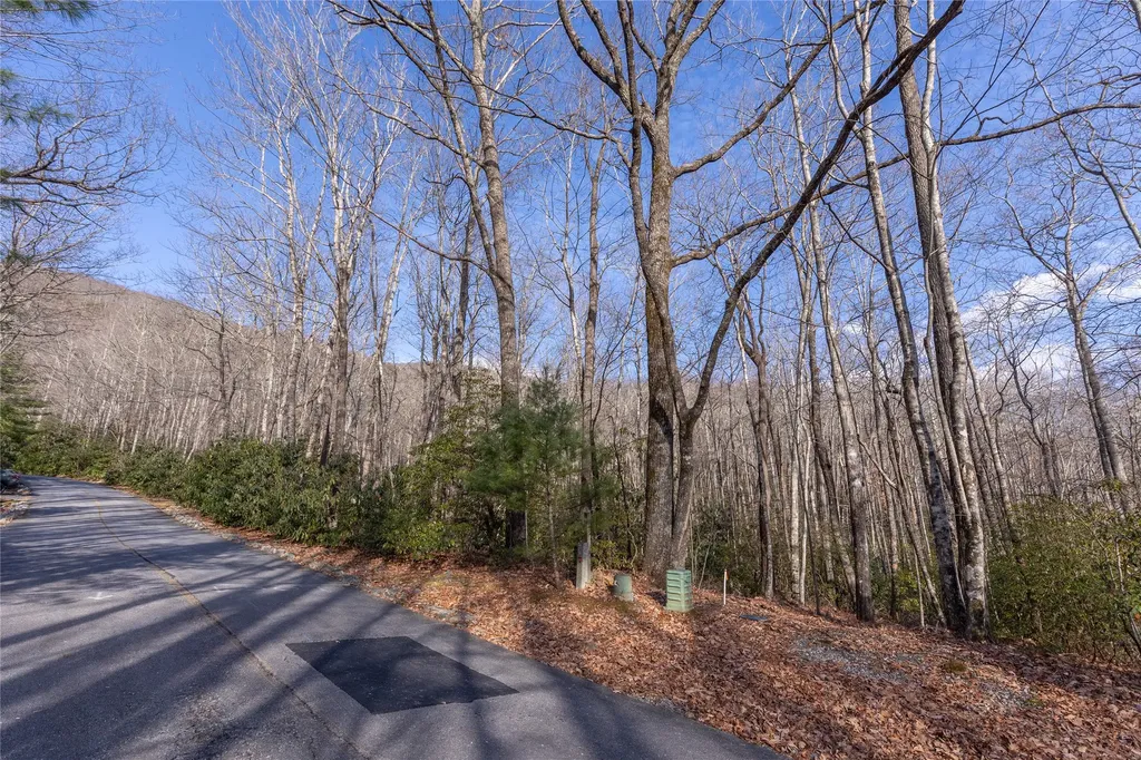 Lot 30 Rock Creek Court Sapphire NC 28774
