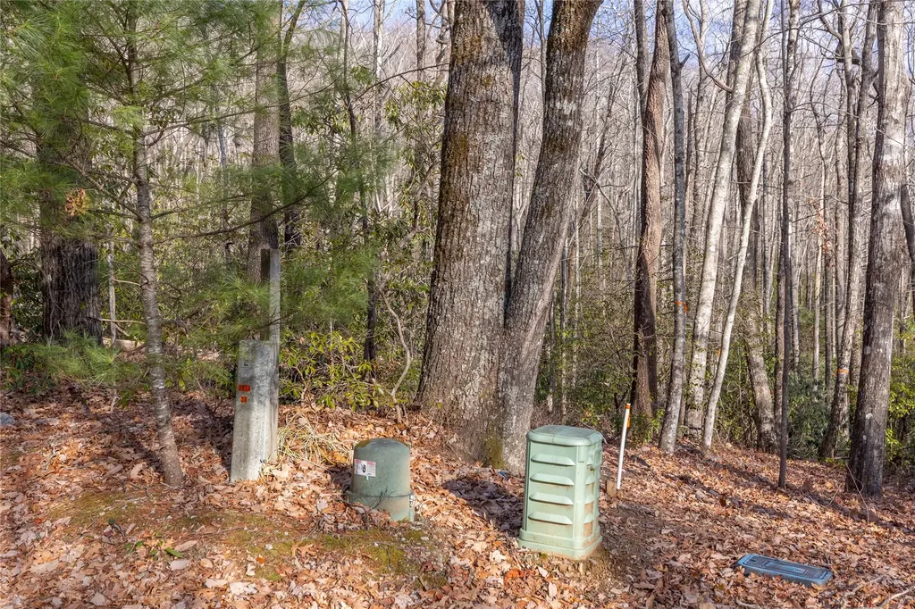 Lot 30 Rock Creek Court Sapphire NC 28774
