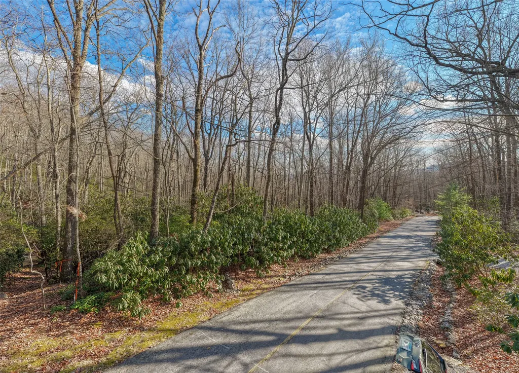 Lot 30 Rock Creek Court Sapphire NC 28774