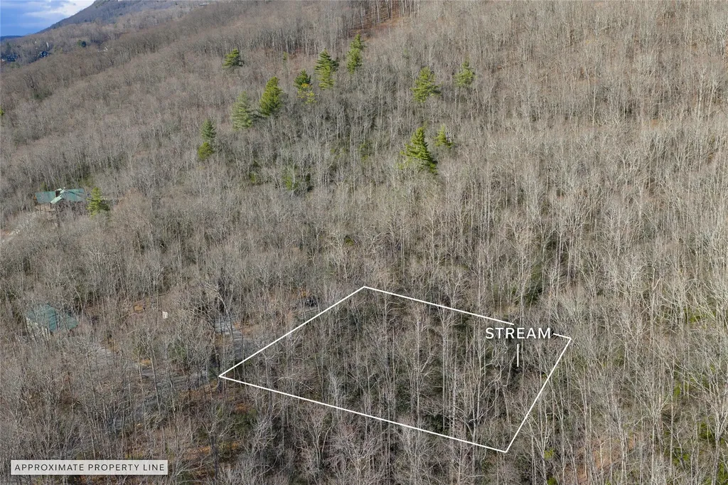 Lot 30 Rock Creek Court Sapphire NC 28774