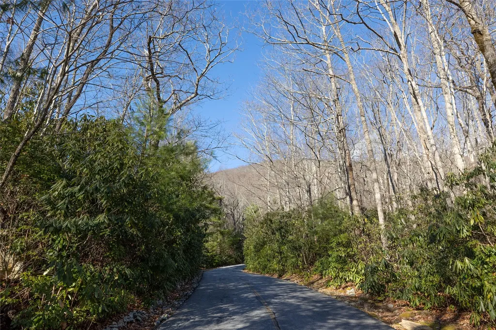 Lot 30 Rock Creek Court Sapphire NC 28774