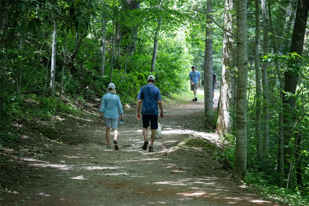 Lot 30 Rock Creek Court Sapphire NC 28774