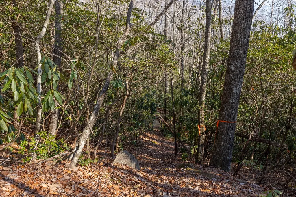 Lot 30 Rock Creek Court Sapphire NC 28774
