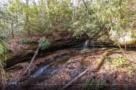 Lot 30 Rock Creek Court Sapphire NC 28774