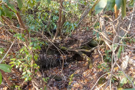 Lot 30 Rock Creek Court Sapphire NC 28774