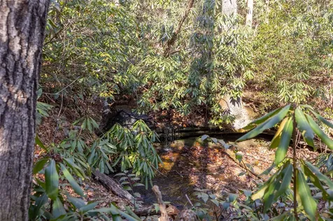 Lot 30 Rock Creek Court Sapphire NC 28774