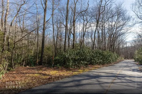 Lot 30 Rock Creek Court Sapphire NC 28774