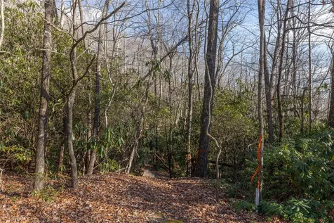 Lot 30 Rock Creek Court Sapphire NC 28774