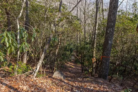 Lot 30 Rock Creek Court Sapphire NC 28774