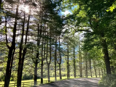 000 Walkingstick Road Highlands NC 28741