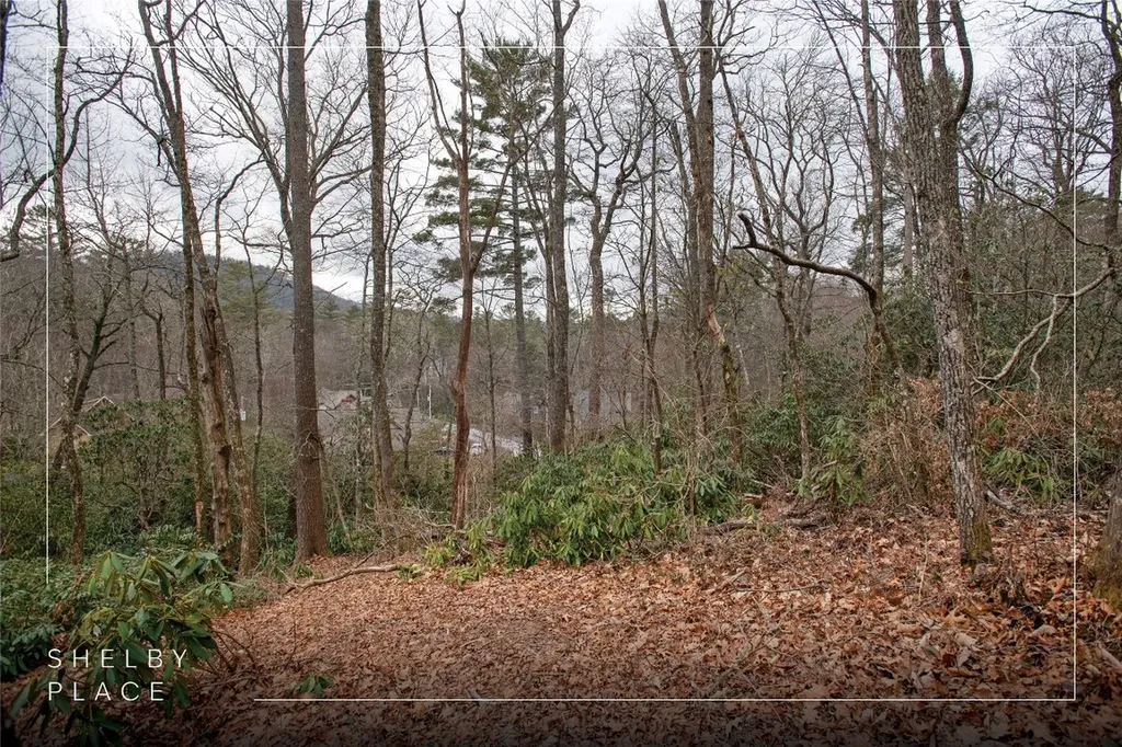 79/80 S Shelby Circle Highlands NC 28741