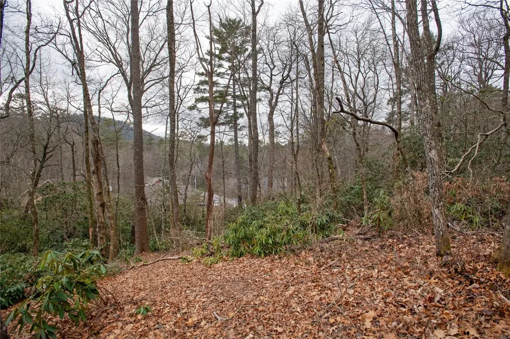 79/80 S Shelby Circle Highlands NC 28741